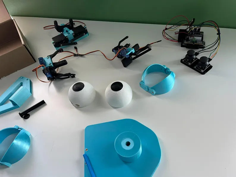 Animatronic Eye Robotics Kit